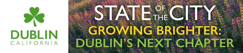 Dublin State of the City